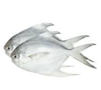 Rupchada (Medium)