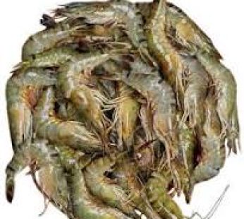 Bagda Shrimp/KG