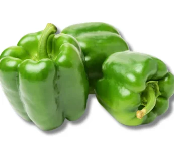 Capsicum (Green)