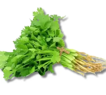 Dhoniapata (Coriander Leaf) Local