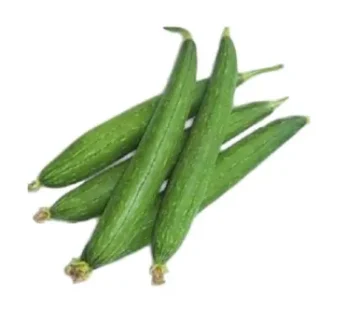 Dhundul (Sponge Gourd)