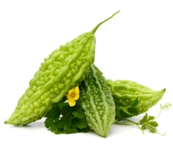 Korolla (Bitter Gourd Long)