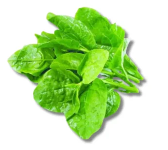 Pui Shak (Malabar Spinach)