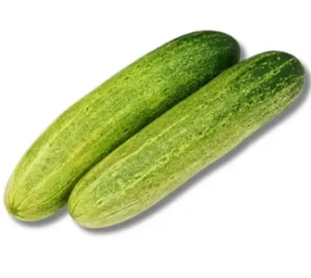 Shosha (Cucumber)